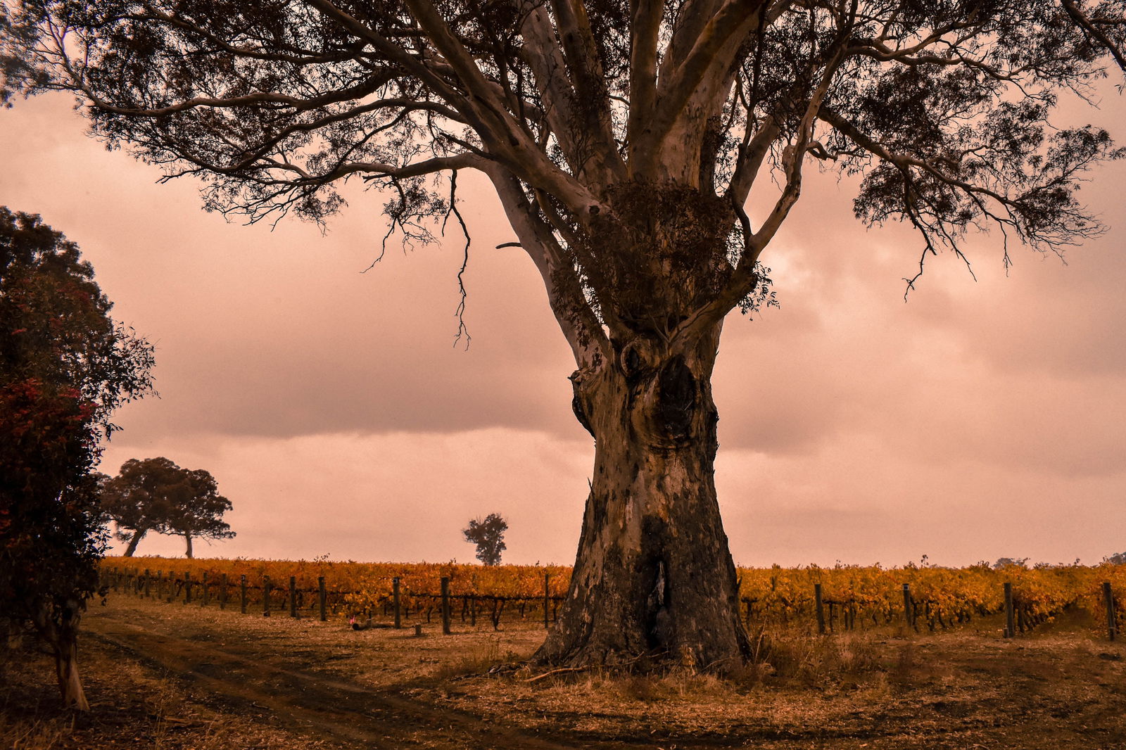 Wolseley SA Accommodation VIC