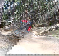Jolly Nose Mountain Bike Park - Accommodation VIC