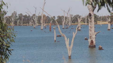 Lake Mulwala - Accommodation VIC 2