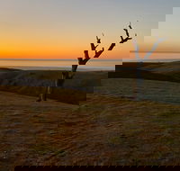 Lessismore Farm Afternoon Farmer - Accommodation VIC