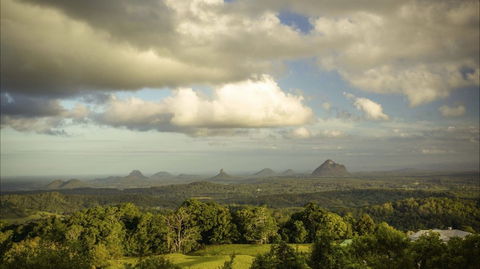 Mary Cairncross Scenic Reserve Rainforest Walk - Accommodation VIC 0