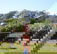 Maryboroughs Bollards - Accommodation VIC
