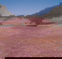 Meekatharra - Accommodation VIC