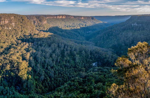 Missingham Lookout Track - Accommodation VIC 0