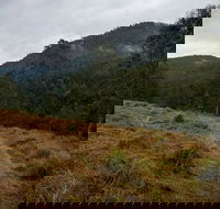 Nowendoc National Park - Accommodation VIC