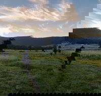 Numinbah Valley Adventure  Camping - Accommodation VIC