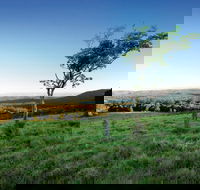 Ravensbourne National Park - Accommodation VIC