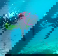 Shellharbour Scuba  and Photography Centre - Accommodation VIC