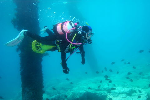 Shellharbour Scuba  And Photography Centre - Accommodation VIC 0
