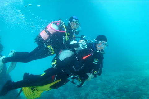 Shellharbour Scuba  And Photography Centre - Accommodation VIC 1