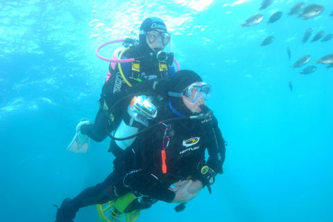 Shellharbour Scuba  And Photography Centre - Accommodation VIC 2