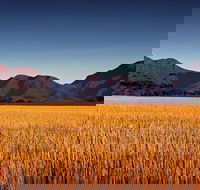 Southern Wonders Wildflower Trail - Accommodation VIC