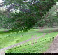 St Albans Reserve - Accommodation VIC