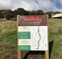 The Wallaby Track - Accommodation VIC