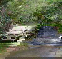 The Pioneer Valley and Eungella National Park - Accommodation VIC