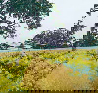 The Great Southern Drive - Accommodation VIC