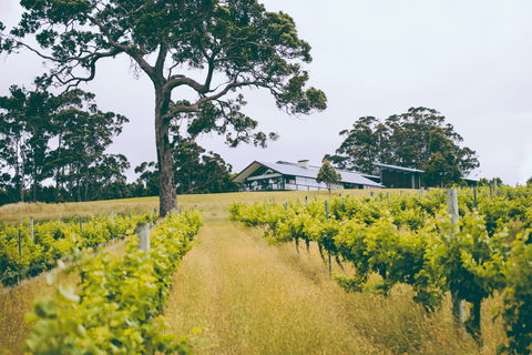 The Great Southern Drive - Accommodation VIC 0