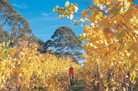 The Great Southern Drive - Accommodation VIC 1