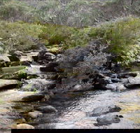 Thredbo River Track - Accommodation VIC