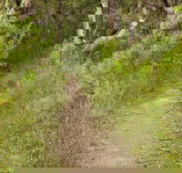 Three Views walking track - Accommodation VIC