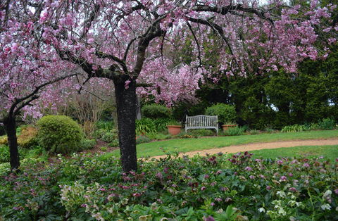 Wildwood Garden - Accommodation VIC 2