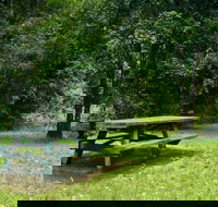 Williams River picnic area - Accommodation VIC
