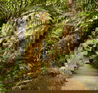 William Ricketts Sanctuary - Accommodation VIC