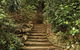 William Ricketts Sanctuary - thumb 1