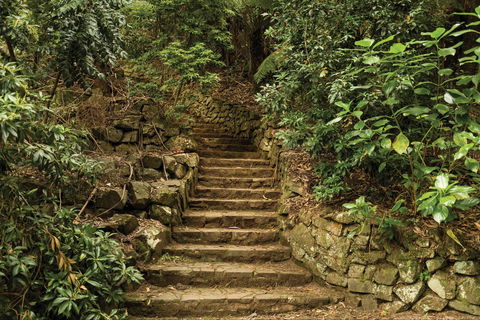 William Ricketts Sanctuary - Accommodation VIC 1