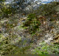 Yarrambat Park - Accommodation VIC