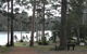 Big Brook Arboretum - thumb 0