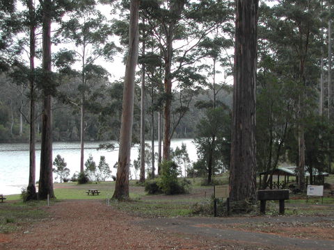 Big Brook Arboretum - Accommodation VIC 0