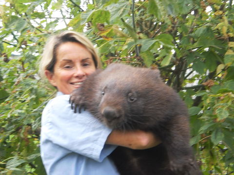 Birdland Animal Park - Accommodation VIC 2