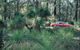 Blackwood River Tourist Drive - thumb 2