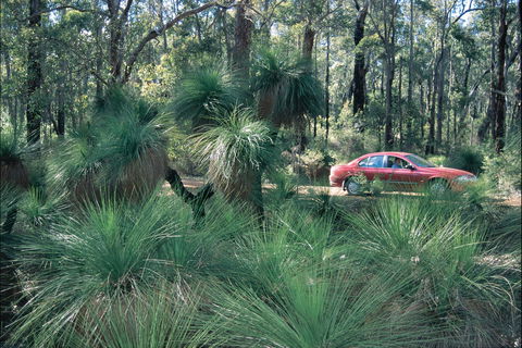 Blackwood River Tourist Drive - Accommodation VIC 2