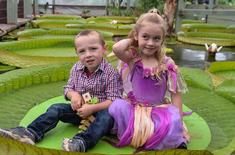 Blue Lotus Water Garden - Accommodation VIC 2