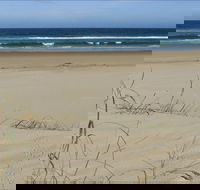 Bongil Beach - Accommodation VIC