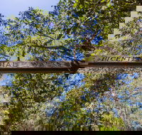 Bribie Island Bicentennial Trails - Accommodation VIC