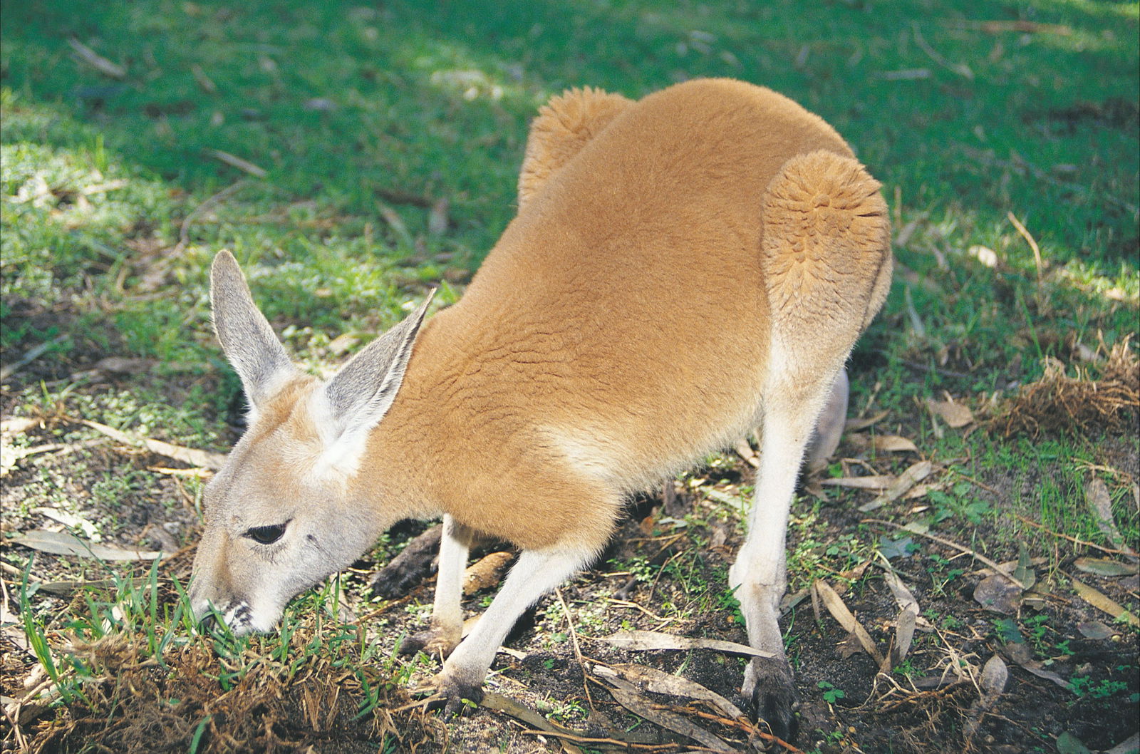 Wooroloo WA Accommodation VIC