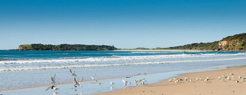 Chinamans Beach Evans Head - Accommodation VIC 2