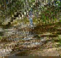 Cliff Face track - Accommodation VIC