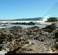 Coastal Walks - Bermagui - Accommodation VIC
