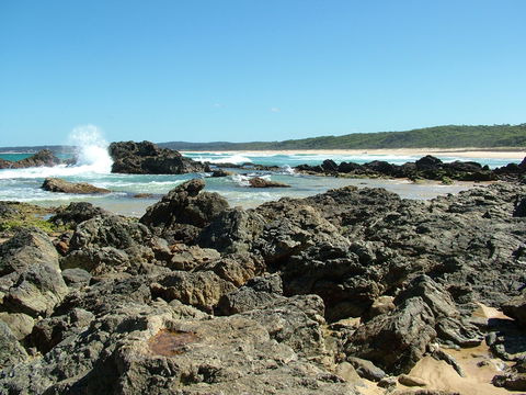 Coastal Walks - Bermagui - Accommodation VIC 0