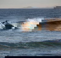 Coffs Coast State Park - Accommodation VIC