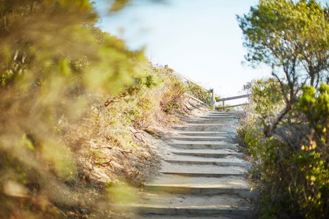 Coppins Walk Track (part Of The Coastal Walk) - Accommodation VIC 0