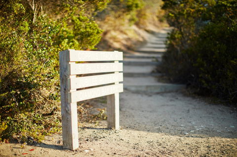 Coppins Walk Track (part Of The Coastal Walk) - Accommodation VIC 1