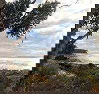 Fish Cannery Walking Trail - Accommodation VIC