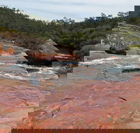 FR Berry Reserve - Accommodation VIC