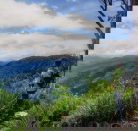 Gloucester Falls Walking Track - Accommodation VIC