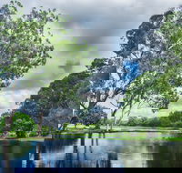 Gold Coast Regional Botanic Gardens - Accommodation VIC